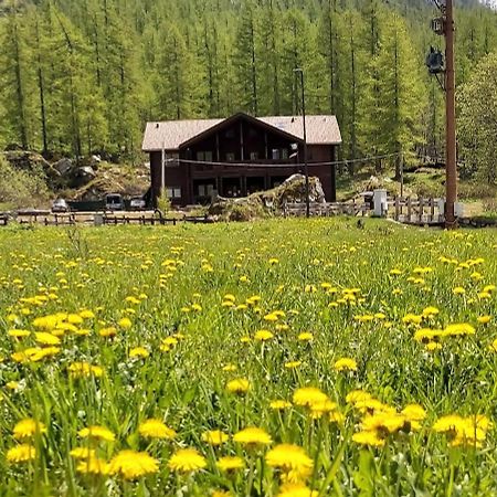 Отель Chalet Rosa Dei Monti Valprato Soana Экстерьер фото