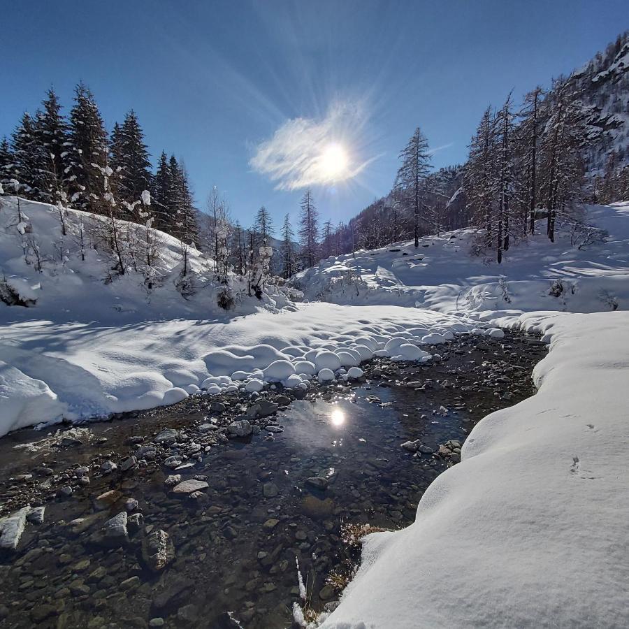 Отель Chalet Rosa Dei Monti Valprato Soana Экстерьер фото