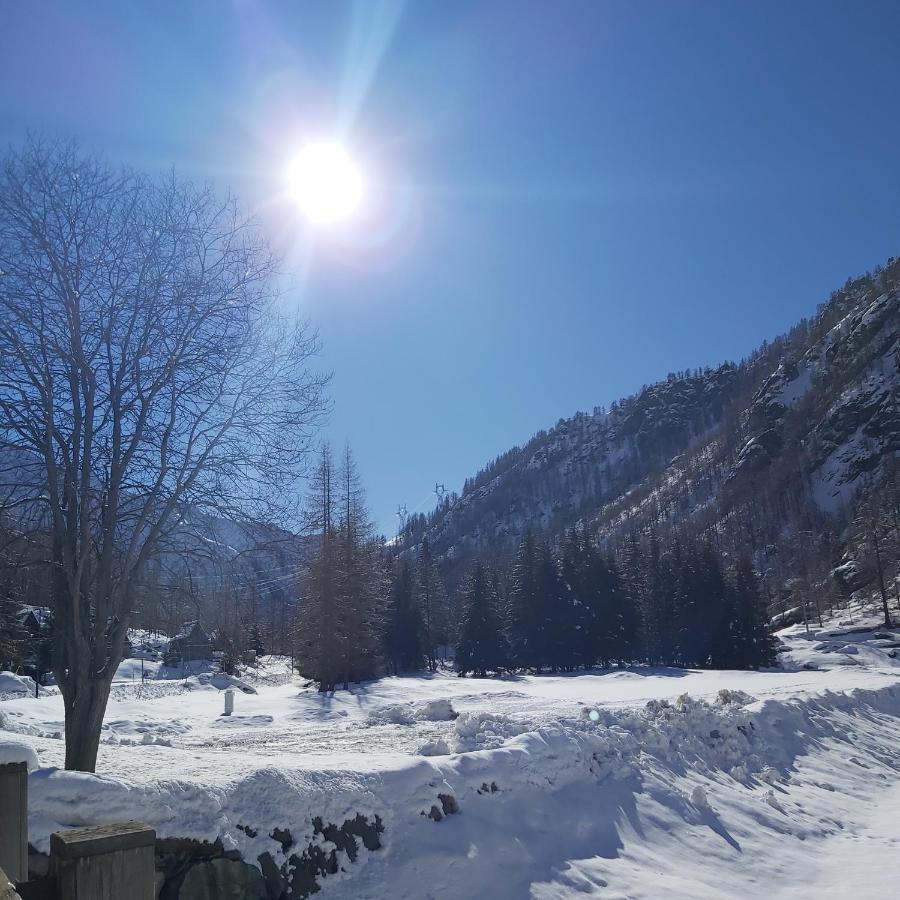 Chalet Rosa Dei Monti Piamprato Экстерьер фото