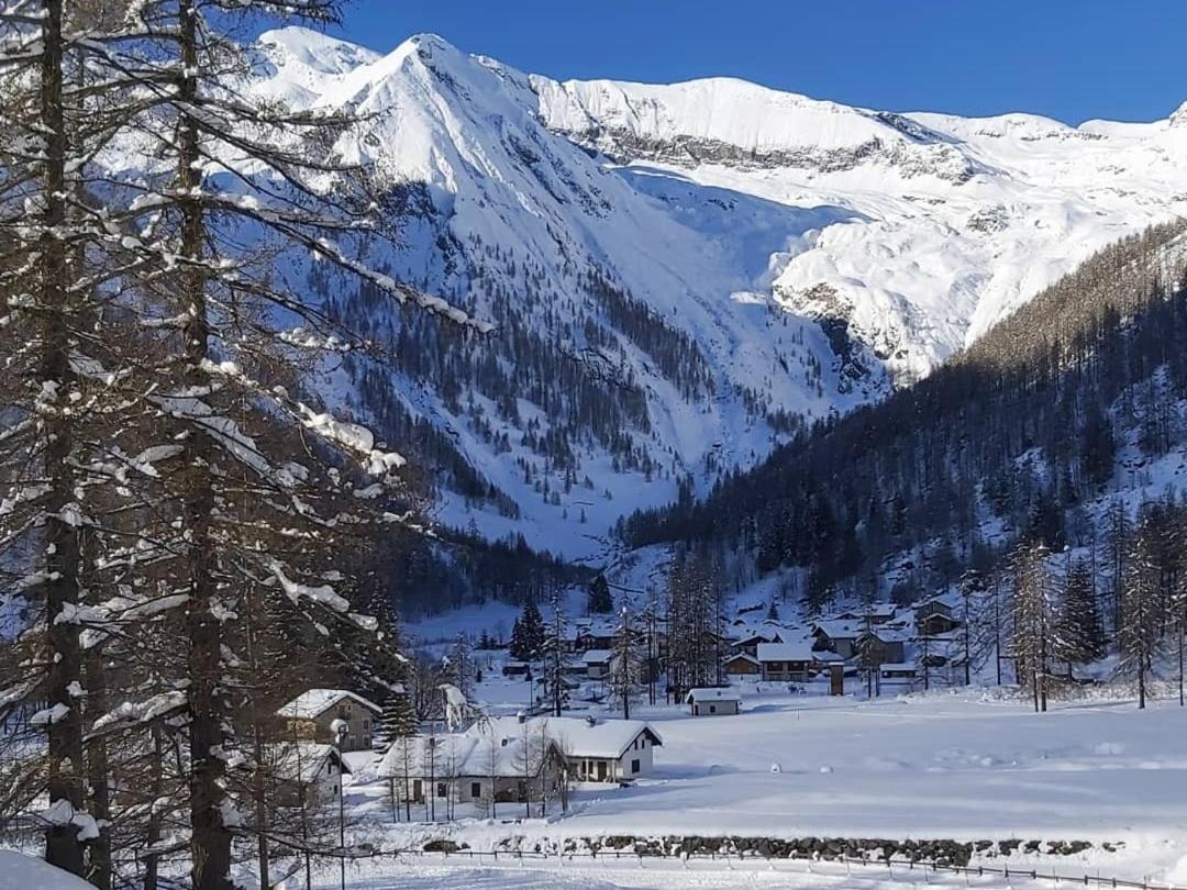 Chalet Rosa Dei Monti Piamprato Экстерьер фото