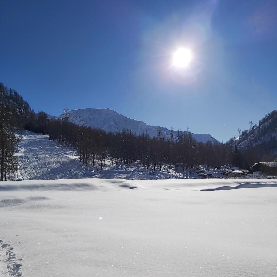 Отель Chalet Rosa Dei Monti Valprato Soana Экстерьер фото