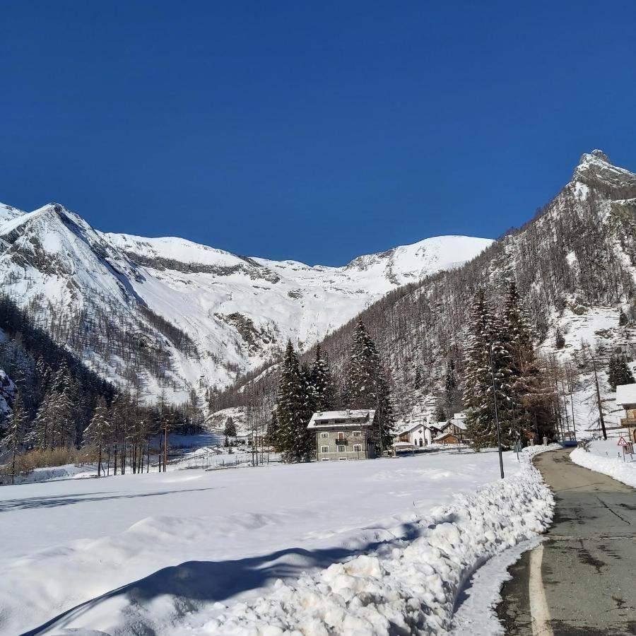 Chalet Rosa Dei Monti Piamprato Экстерьер фото