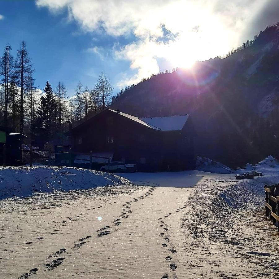 Отель Chalet Rosa Dei Monti Valprato Soana Экстерьер фото