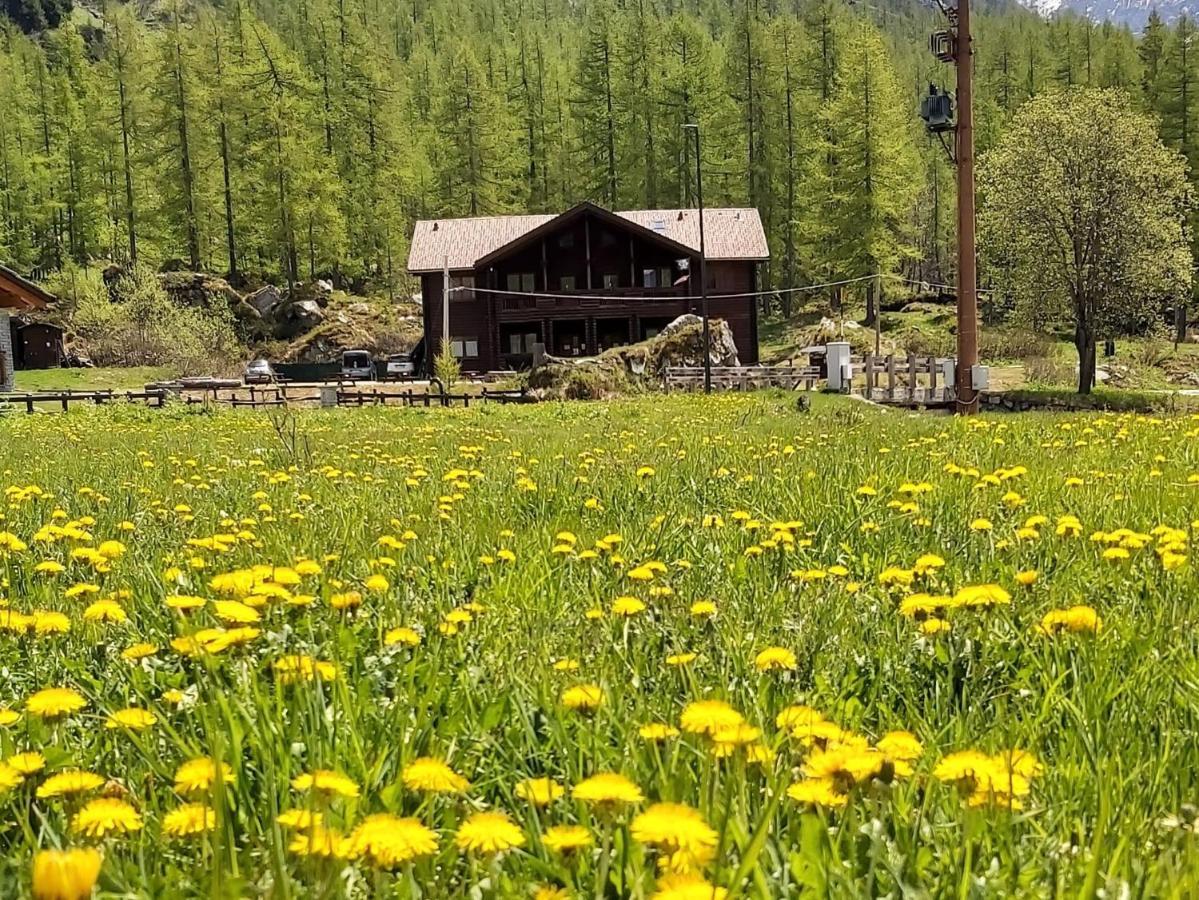 Отель Chalet Rosa Dei Monti Valprato Soana Экстерьер фото