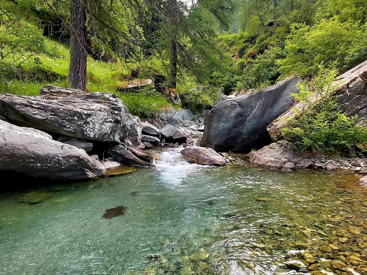 Отель Chalet Rosa Dei Monti Valprato Soana Экстерьер фото