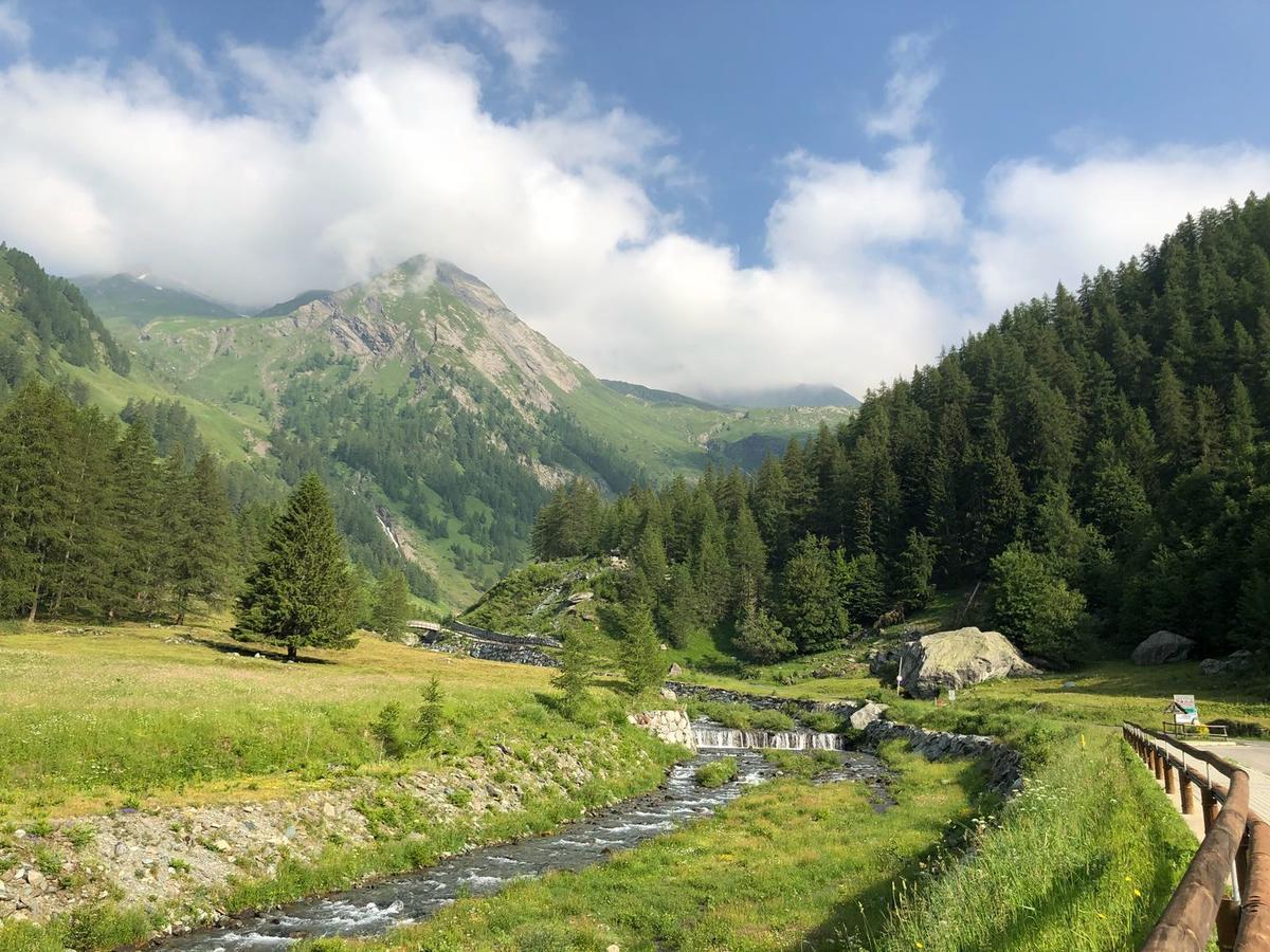 Отель Chalet Rosa Dei Monti Valprato Soana Экстерьер фото