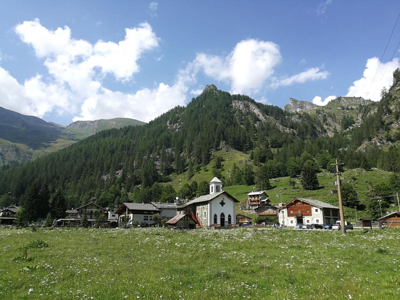 Отель Chalet Rosa Dei Monti Valprato Soana Экстерьер фото