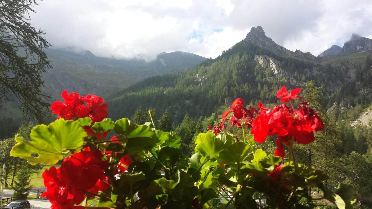Chalet Rosa Dei Monti Piamprato Экстерьер фото