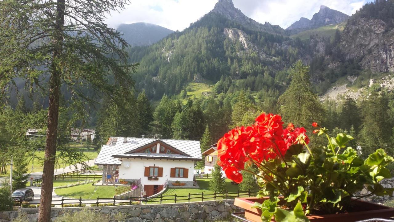 Отель Chalet Rosa Dei Monti Valprato Soana Экстерьер фото