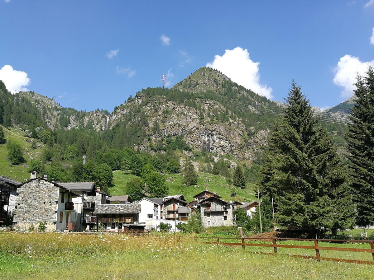 Chalet Rosa Dei Monti Piamprato Экстерьер фото