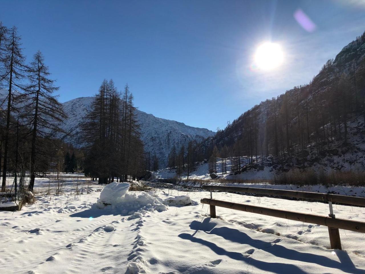 Отель Chalet Rosa Dei Monti Valprato Soana Экстерьер фото