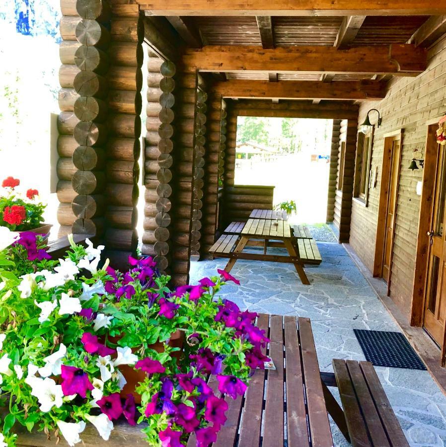 Отель Chalet Rosa Dei Monti Valprato Soana Экстерьер фото