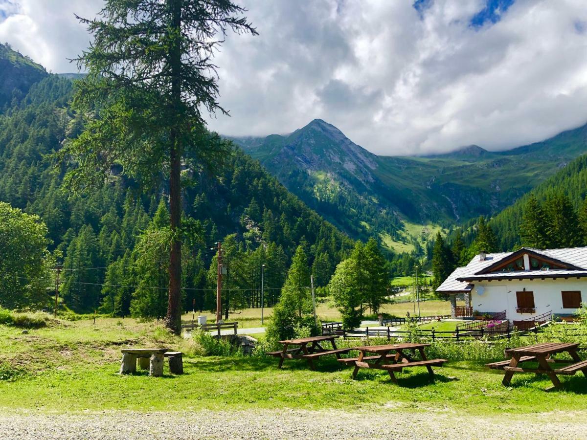 Отель Chalet Rosa Dei Monti Valprato Soana Экстерьер фото